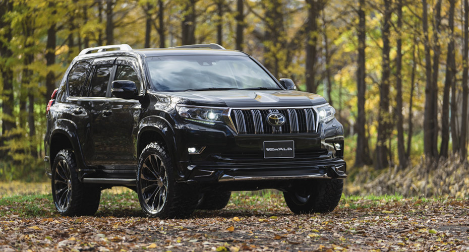 Обвес WALD для Land Cruiser Prado 150 2018 2019 2020 купить