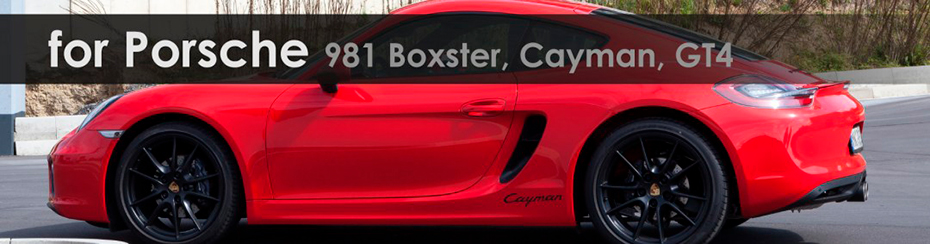 Выхлопная система Capristo для Porsche Cayman 981 купить