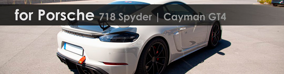 Выхлопная система Capristo для Porsche Cayman GT4 982 купить